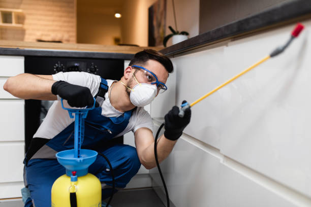 Best Cockroach Control Services  in Dover, DE