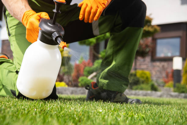 Professional Pest Control in Dover, DE
