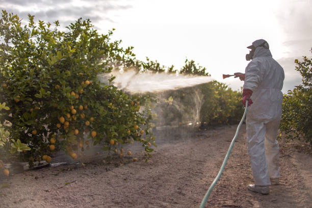Professional Pest Control in Dover, DE