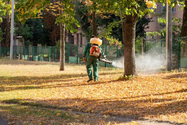 Best Pest Removal Services  in Dover, DE