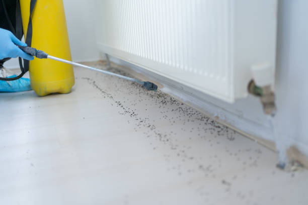 Best Commercial Pest Control Services  in Dover, DE