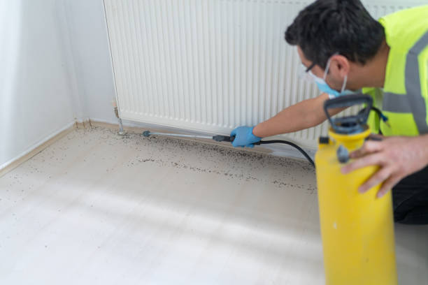 Best Pest Control Near Me in Dover, DE